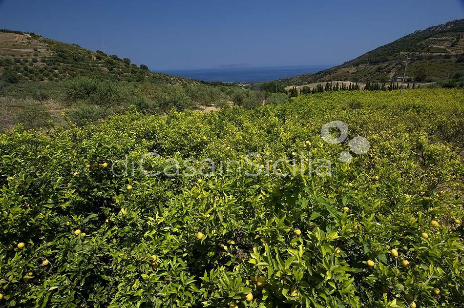 Meer & Natur in Sizilien – Ferienwohnungen | Di Casa in Sicilia - 7