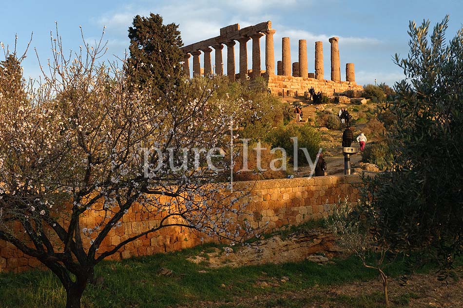 Sicilian Villas close to beaches and Unesco towns | Pure Italy - 45
