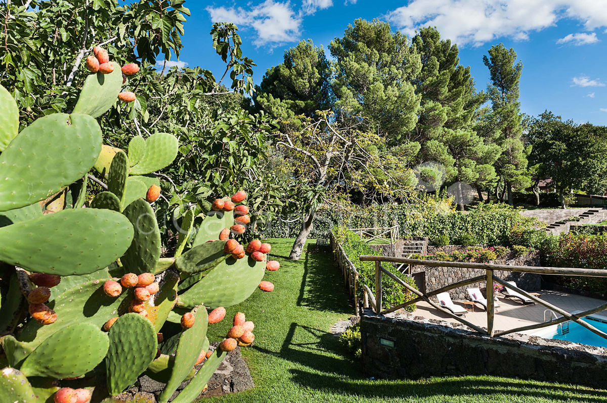 Montefiore Villa con Piscina Riscaldata in affitto sull’Etna Sicilia - 6