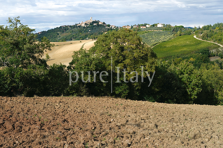 Holiday villas with pool, Todi, Umbria | Pure Italy - 30