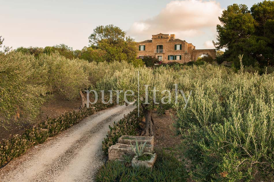 Country Traditional Villas with pool, west of Sicily | Pure Italy - 8